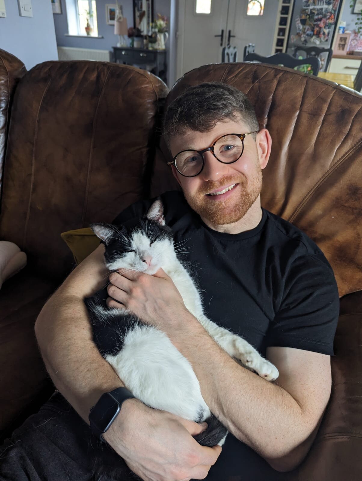 Catbol
